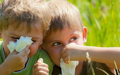 What Causes Nasal Allergies and Sinusitis?