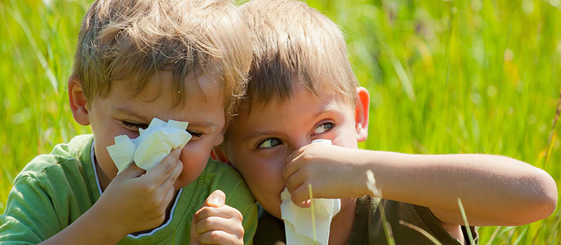 What Causes Nasal Allergies and Sinusitis?